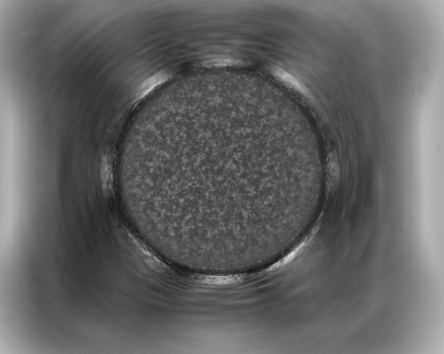 X0000086891305200704300949