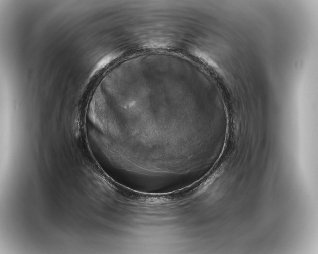 X0000086891306200704300949