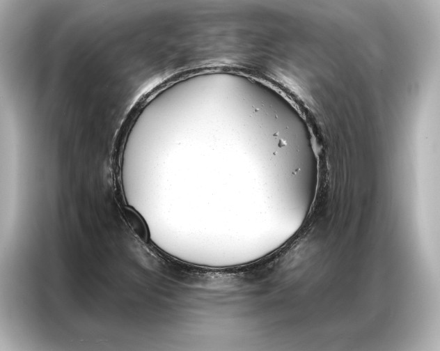 X0000086891308200704300949