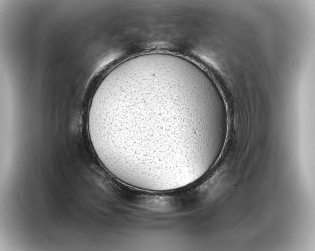 X0000086891309200704300949