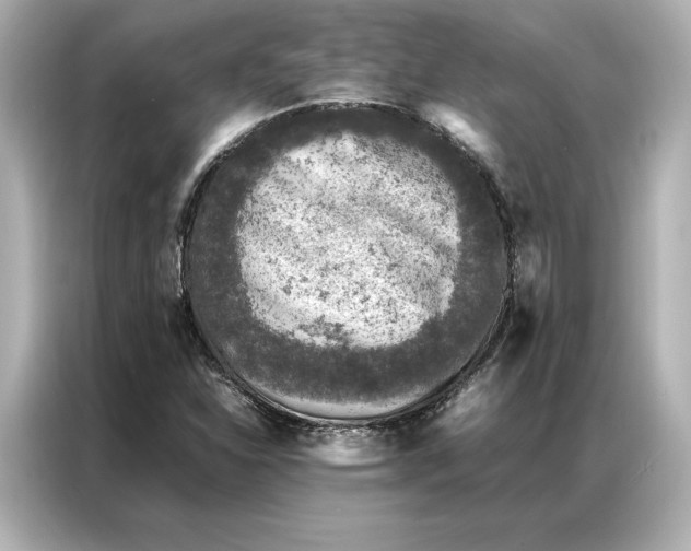 X0000086891310200704300949