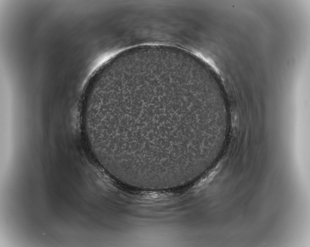 X0000086891311200704300949