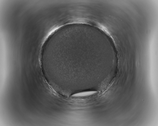 X0000086891312200704300949