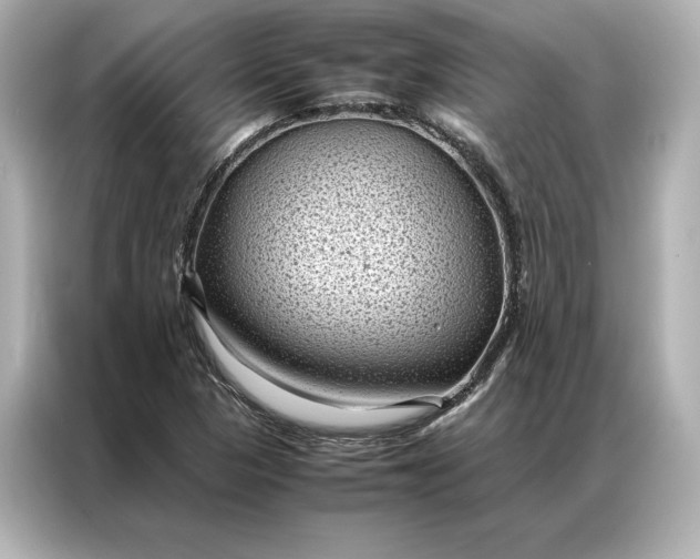 X0000086891313200704300949