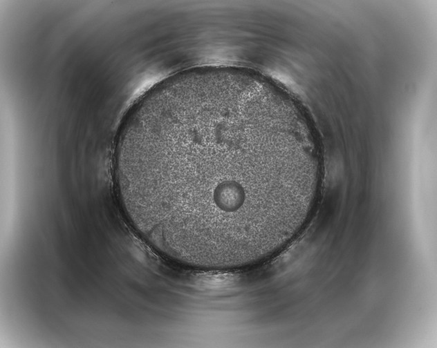 X0000086891314200704300949