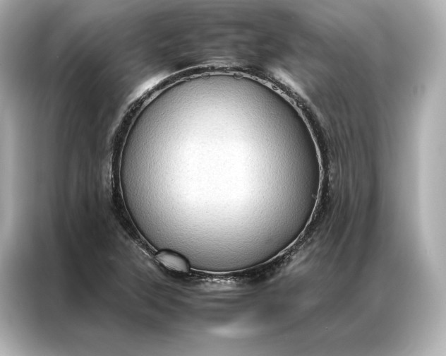 X0000086891315200704300949