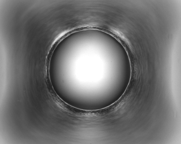 X0000086891316200704300949