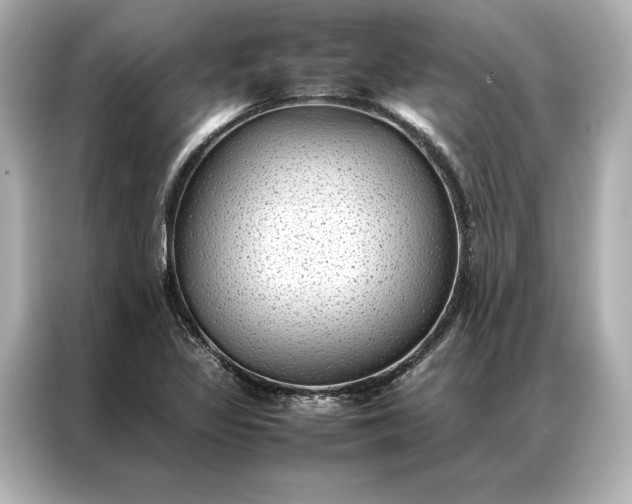 X0000086891317200704300949