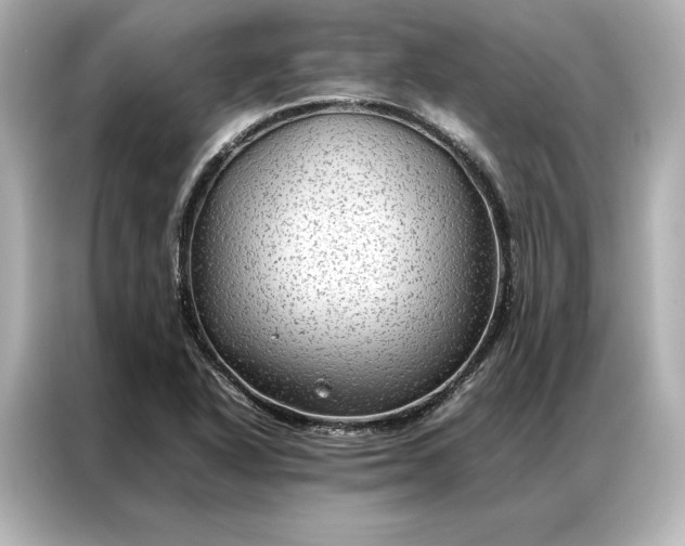 X0000086891318200704300949