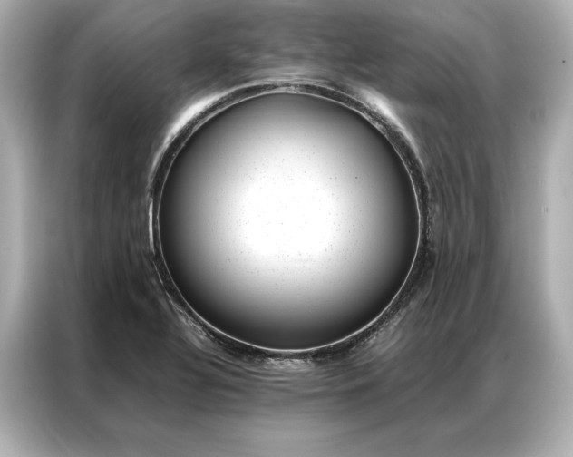 X0000086891320200704300949