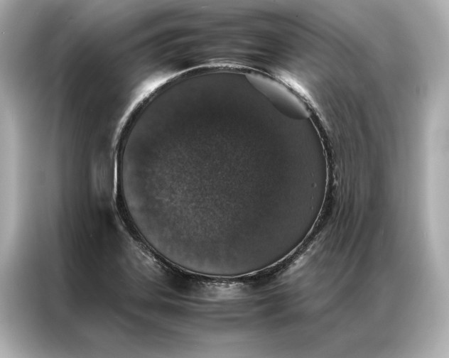 X0000086891323200704300949