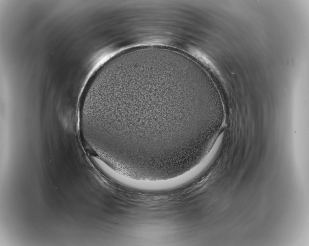 X0000086891324200704300949