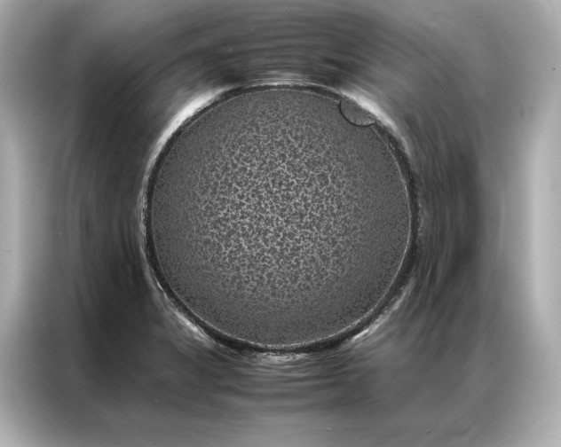 X0000086891325200704300949