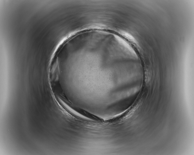 X0000086891326200704300949