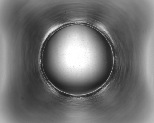 X0000086891328200704300949