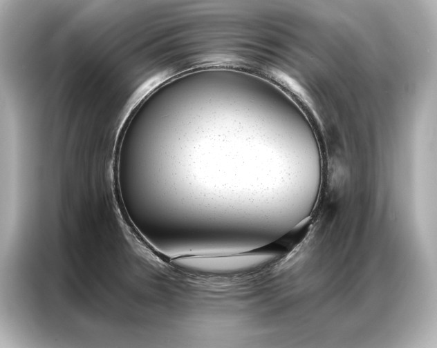 X0000086891330200704300949