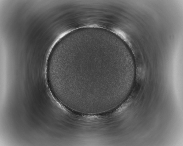 X0000086891331200704300949