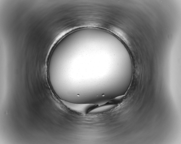 X0000086891332200704300949