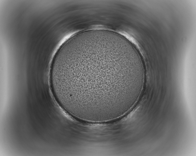 X0000086891333200704300949