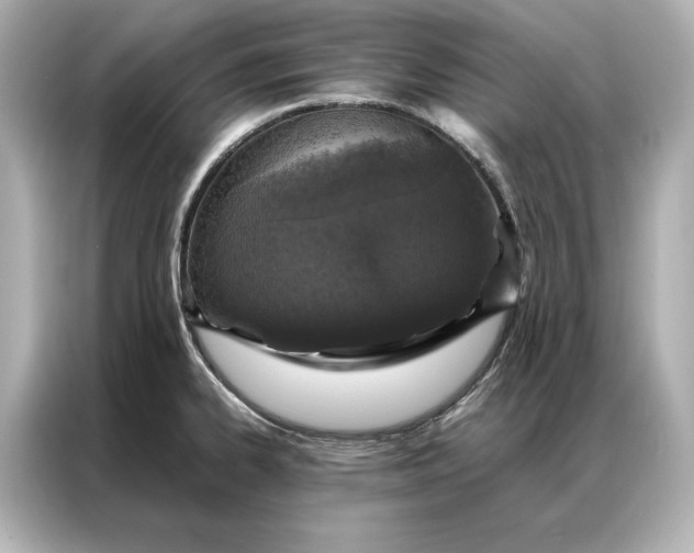 X0000086891334200704300949