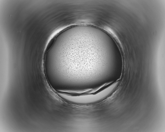 X0000086891336200704300949