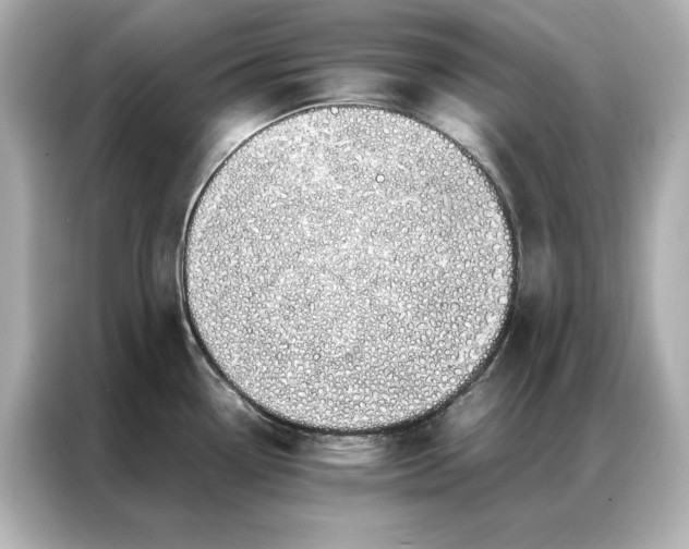 X0000086891338200704300949