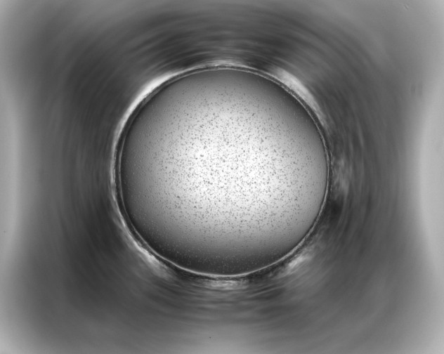 X0000086891339200704300949