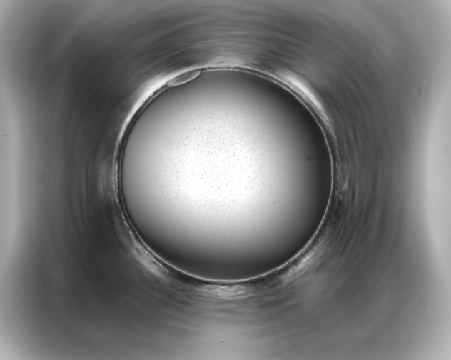 X0000086891340200704300949