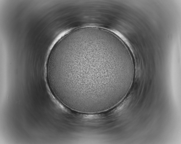 X0000086891341200704300949