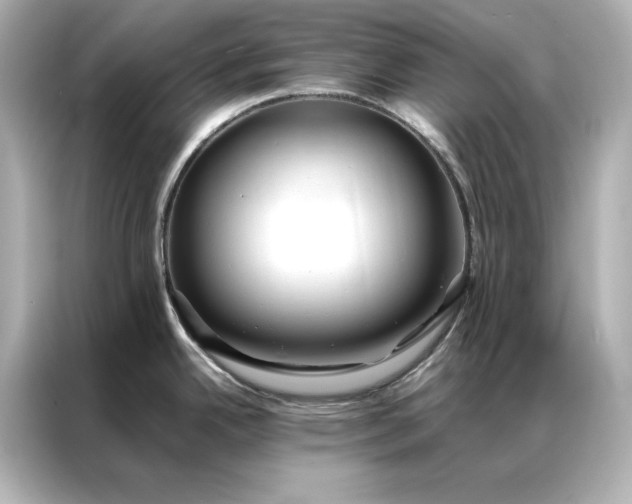 X0000086891342200704300949