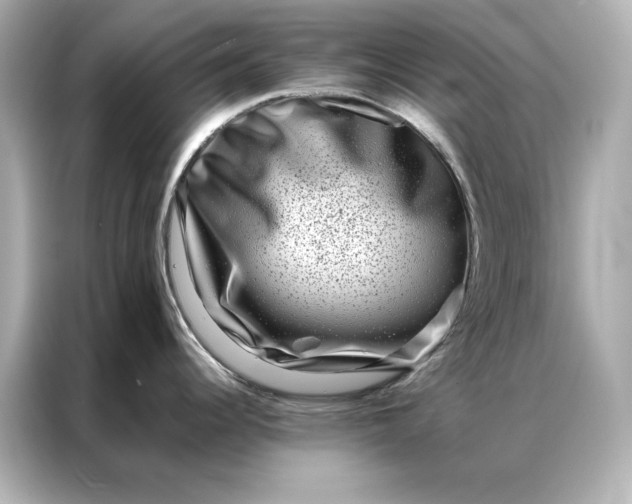 X0000086891344200704300949