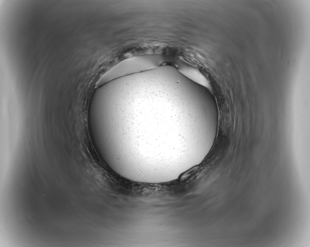 X0000086891345200704300949