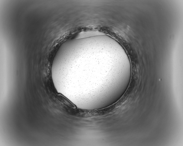 X0000086891349200704300948