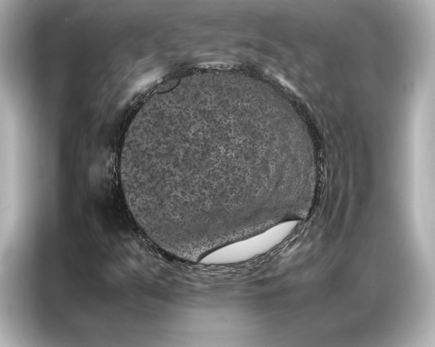 X0000086891351200704300948