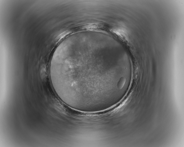 X0000086891353200704300948