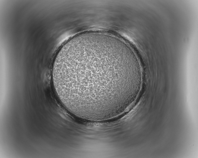 X0000086891355200704300948