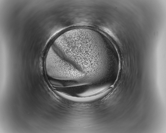 X0000086891356200704300948