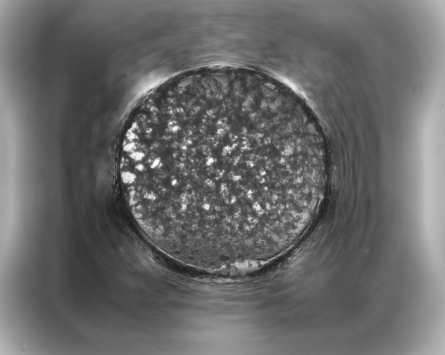 X0000086891359200704300948