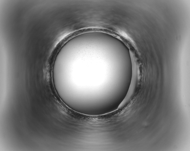 X0000086891360200704300948