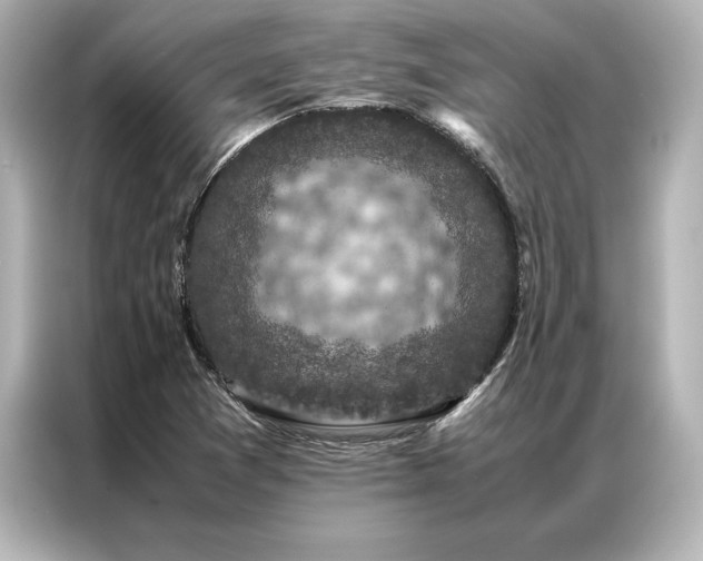 X0000086891361200704300948