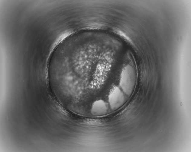 X0000086891362200704300948