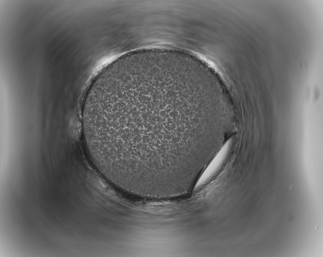 X0000086891363200704300948