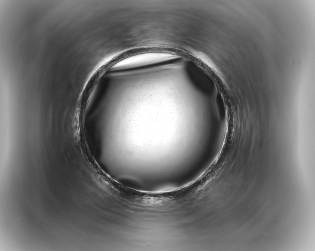 X0000086891364200704300948