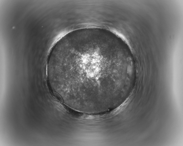 X0000086891365200704300948