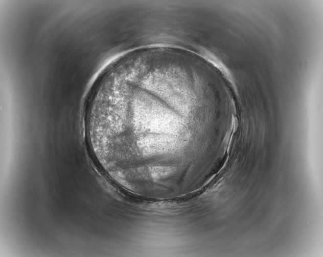 X0000086891368200704300948