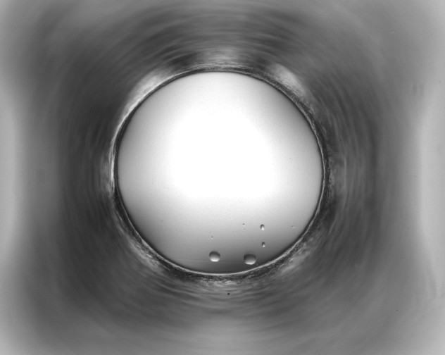 X0000086891370200704300948