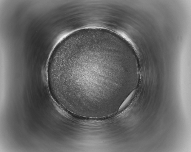 X0000086891372200704300948