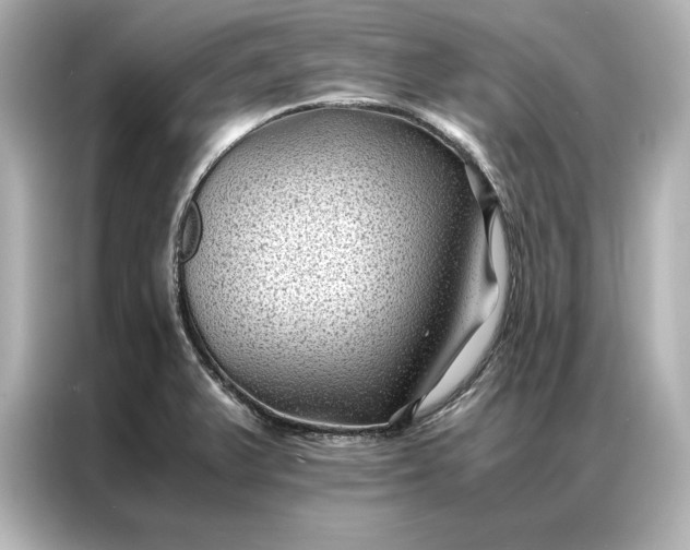 X0000086891375200704300948