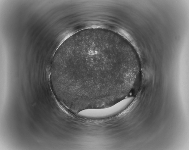 X0000086891377200704300948