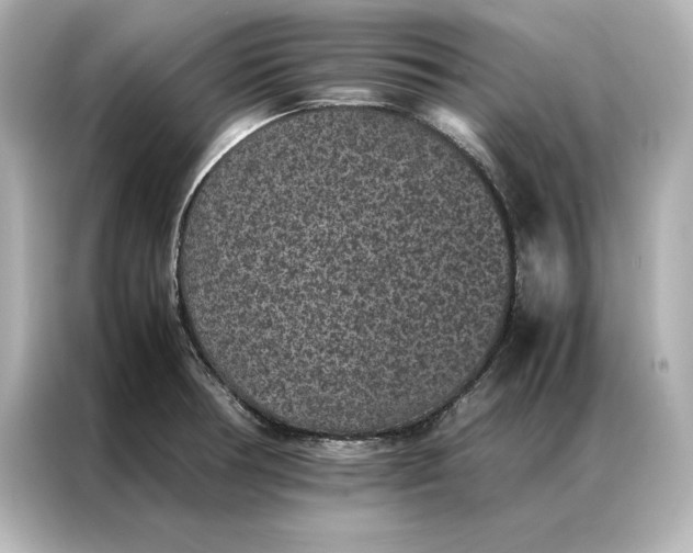 X0000086891378200704300948